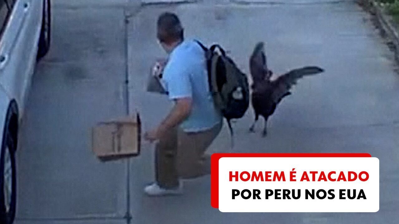 VÍDEO: Homem é atacado por peru ao tentar entrar no carro em Nova York, nos EUA